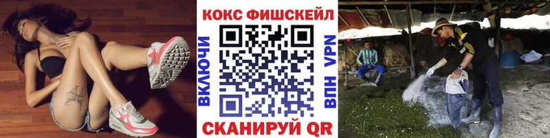 Кокаин Fish Scale Великий Устюг