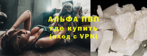 прущие грибы Армянск