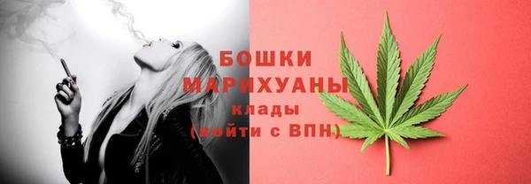 прущие грибы Армянск