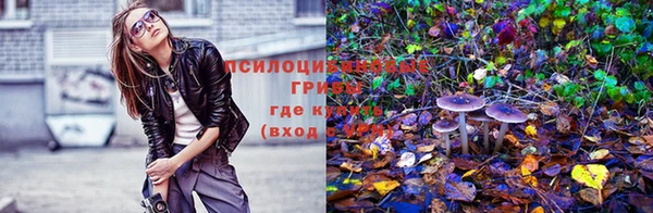 мяу мяу кристалл Алексин