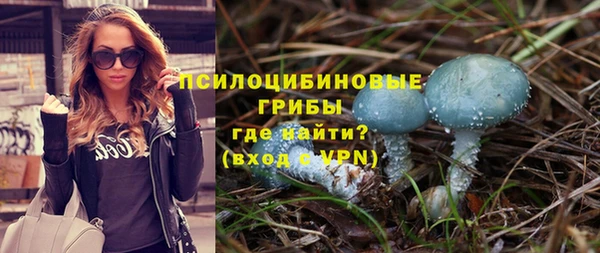 соль курить ск Алзамай